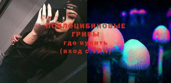 экстази Арсеньев