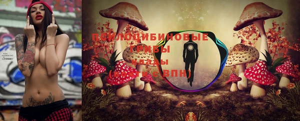 spice Семикаракорск