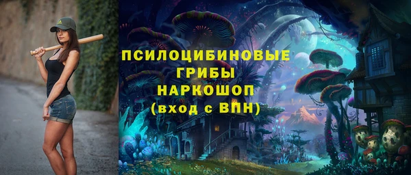 экстази Арсеньев