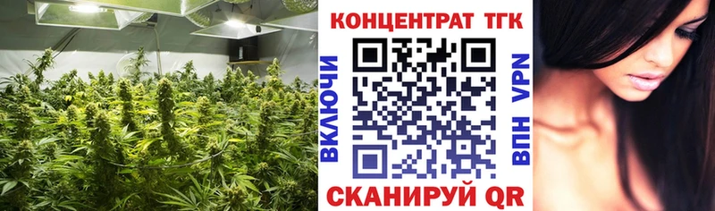 дарнет шоп Рассказово Дистиллят ТГК жижа
