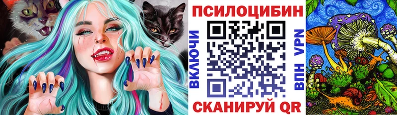купить  цена  Рассказово  Галлюциногенные грибы Psilocybine cubensis 